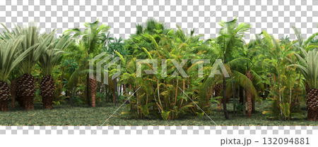 forest line with shadows under the trees, isolated on transparent background, 3D illustration, cg render forest line with shadows under the trees, isolated on transparent background, 3D illustration, cg render 132094881