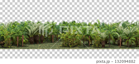 forest line with shadows under the trees, isolated on transparent background, 3D illustration, cg render 132094882