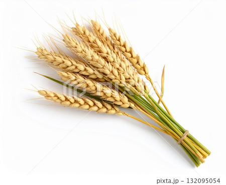 Fresh wheat over white background Fresh wheat over white background 132095054