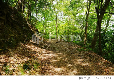 日本 埼玉県 秩父 長瀞 宝登山 山道 132095473