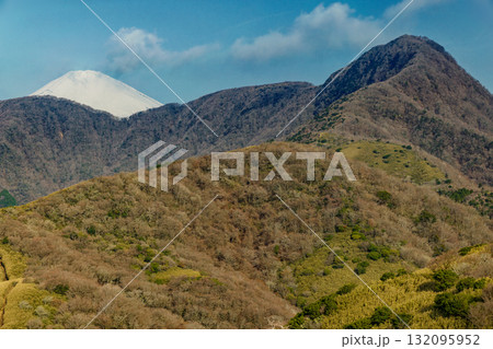 箱根・矢倉沢峠付近から見る金時山と富士山 132095952