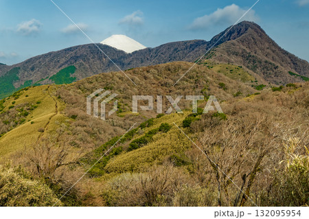 箱根・矢倉沢峠付近から見る金時山と富士山 箱根・矢倉沢峠付近から見る金時山と富士山 132095954