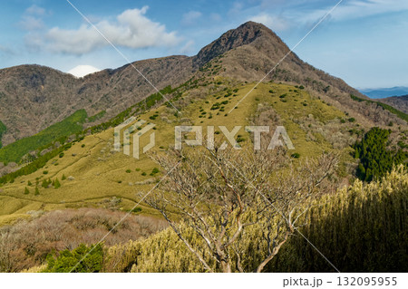 箱根・矢倉沢峠付近から見る金時山と富士山 132095955