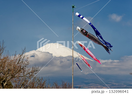 御殿場・平和公園の鯉のぼりと富士山 御殿場・平和公園の鯉のぼりと富士山 132096041