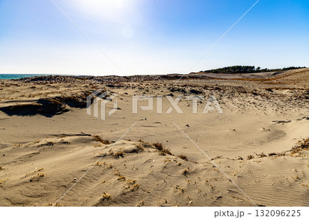 静岡県　中田島砂丘の風景 132096225