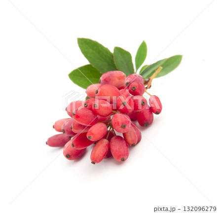 Twig berberum with leaves 132096279