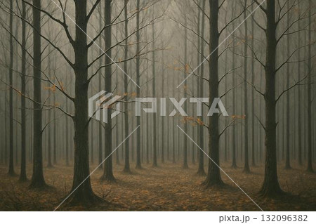 晩秋から初冬へ 静寂や哀愁を感じる風景　 132096382