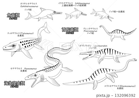 モササウルスなど太古の海生爬虫類や魚竜類 線画のセット モササウルスなど太古の海生爬虫類や魚竜類 線画のセット 132096392