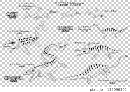モササウルスなど太古の海生爬虫類や魚竜類 線画のセット モササウルスなど太古の海生爬虫類や魚竜類 線画のセット 132096392