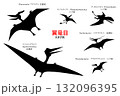 プテラノドンなど翼竜達　シルエットセット 132096395
