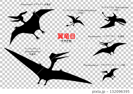 無齒翼龍和其他翼龍剪影集 132096395