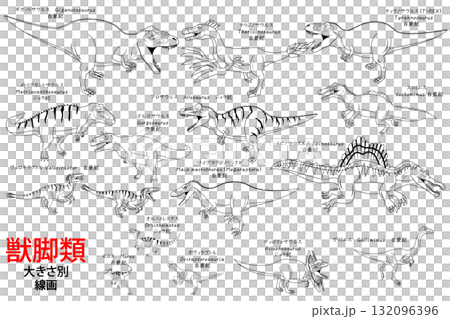 獸腳類恐龍(如暴龍)的線條畫集 獸腳類恐龍(如暴龍)的線條畫集 132096396