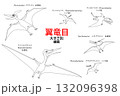 プテラノドンなど翼竜達　線画のセット 132096398