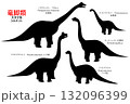 ブラキオサウルスなど竜脚類の恐竜達　シルエットセット 132096399