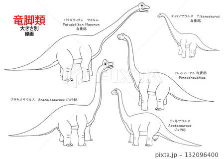 ブラキオサウルスなど竜脚類の恐竜達　線画のセット 132096400