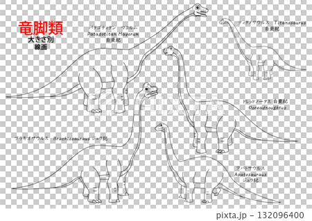 ブラキオサウルスなど竜脚類の恐竜達　線画のセット 132096400