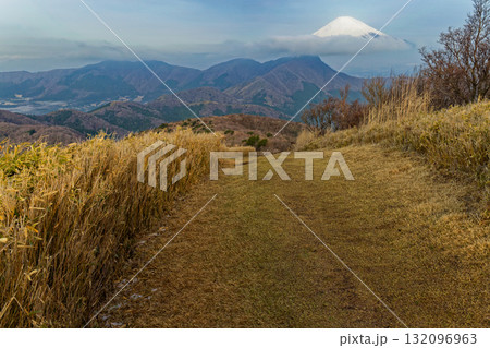 箱根・明神ヶ岳稜線から見る富士山と金時山 132096963