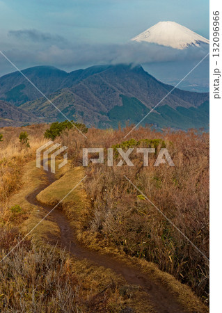 箱根・明神ヶ岳稜線から見る富士山と金時山 132096966