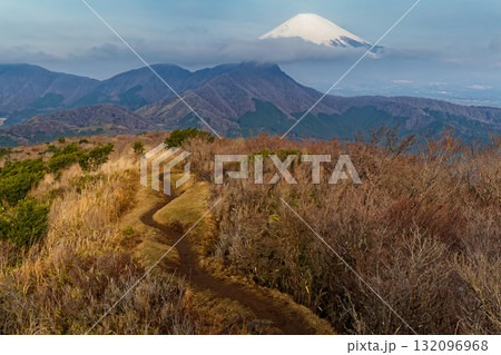 箱根・明神ヶ岳稜線から見る富士山と金時山 132096968