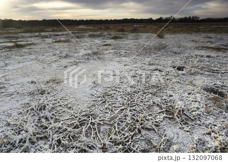 Saltpeter on the floor of a lagoon in a semi desert environment, La Pampa province, Patagonia, Argentina. Saltpeter on the floor of a lagoon in a semi desert environment, La Pampa province, Patagonia, Argentina. 132097068