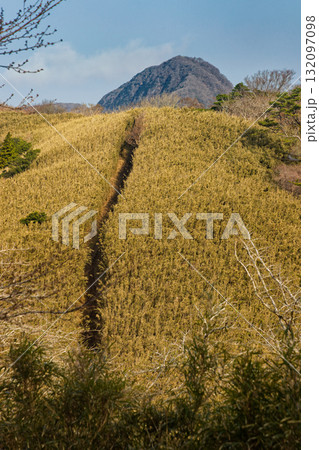 箱根外輪山の登山道と金時山 132097098