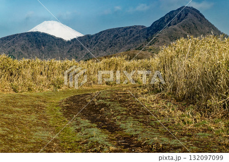 箱根外輪山から見る金時山と富士山 箱根外輪山から見る金時山と富士山 132097099
