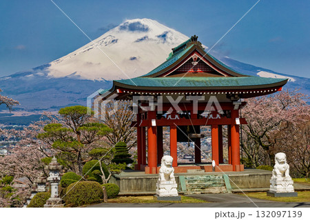 御殿場・平和公園の桜と富士山 御殿場・平和公園の桜と富士山 132097139