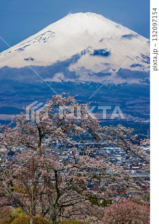 御殿場・平和公園の桜と富士山 御殿場・平和公園の桜と富士山 132097154