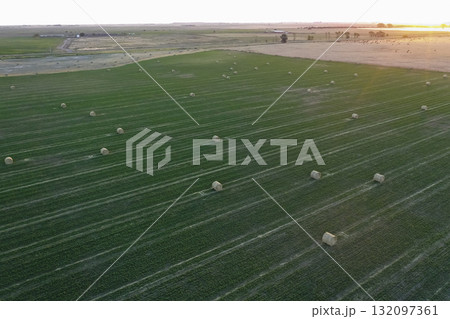 Grass bale, grass storage in La Pampa countryside, Patagonia,Argentina. Grass bale, grass storage in La Pampa countryside, Patagonia,Argentina. 132097361