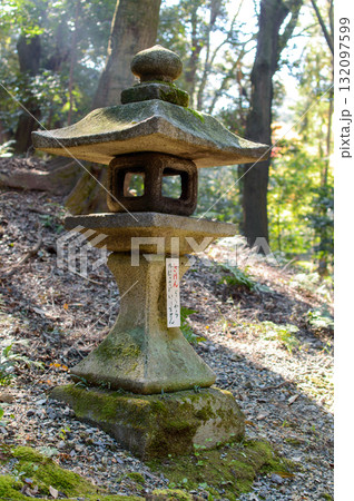 A traditional Japanese stone lantern in a forest setting, surrounded by trees and moss, in Kyoto, Japan 132097599