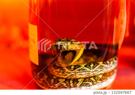 Okinawa snake wine, traditional Okinawan Habushu Habu Sake, made by infusing snake into Awamori rice liquor in Okinawa, Japan 132097667