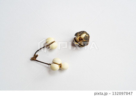 白いナンキンハゼの種子（白背景）（秋、十月） 132097847