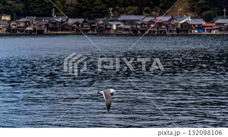 A seagull flying over a calm sea with a fishing village in the background 132098106