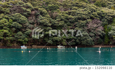 Tranquil Lake with Boats and Forest 132098110