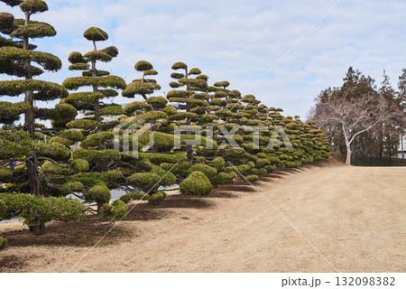 United Nations Memorial Cemetery in Busan, South Korea 132098382
