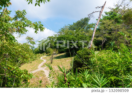 二上山登山道の風景 二上山登山道の風景 132098509