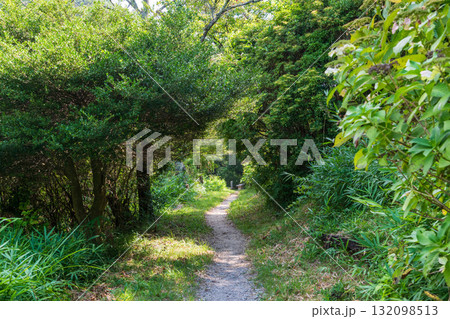 直線の二上山登山道 132098513