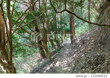 二上山雌岳から南側の駐車場へ至る下り坂の登山道の風景 132098528