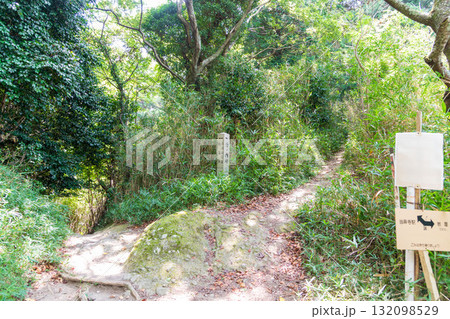 二上山雌岳から南側駐車場へ至る登山道の分岐点の風景 132098529
