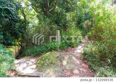 二上山雌岳から南側駐車場へ至る登山道の分岐点の風景 二上山雌岳から南側駐車場へ至る登山道の分岐点の風景 132098530