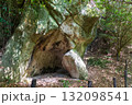 二上山、岩屋峠西方石切場の風景 132098541