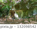二上山、岩屋峠西方石切場の風景 132098542