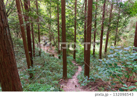 二上山、岩屋峠西方石切場から南下方の東屋を望む風景 132098543