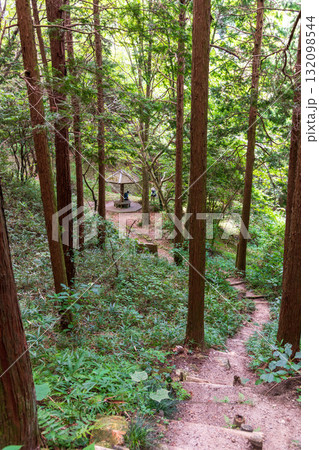 二上山、岩屋峠西方石切場から南下方の東屋を望む風景 132098544