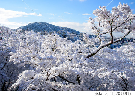 雪化粧した清水寺　子安の塔 132098915