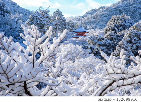 雪化粧した清水寺　子安の塔 132098916