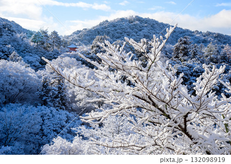 雪化粧した清水寺 子安の塔 雪化粧した清水寺 子安の塔 132098919