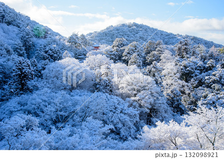 雪化粧した清水寺　子安の塔 132098921