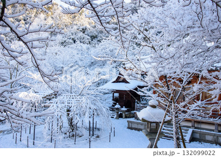 雪の降る清水寺 132099022