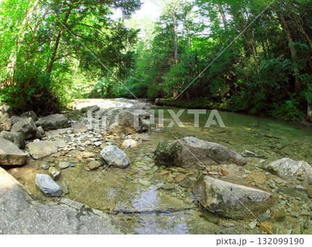 夏の始まり 夏の始まり 132099190